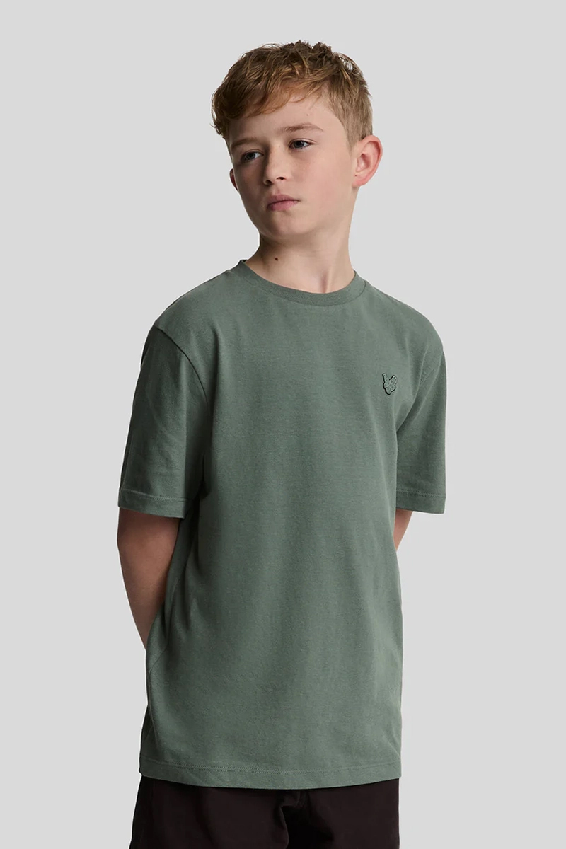 Lyle & Scott Linen tshirt Groen-1 3