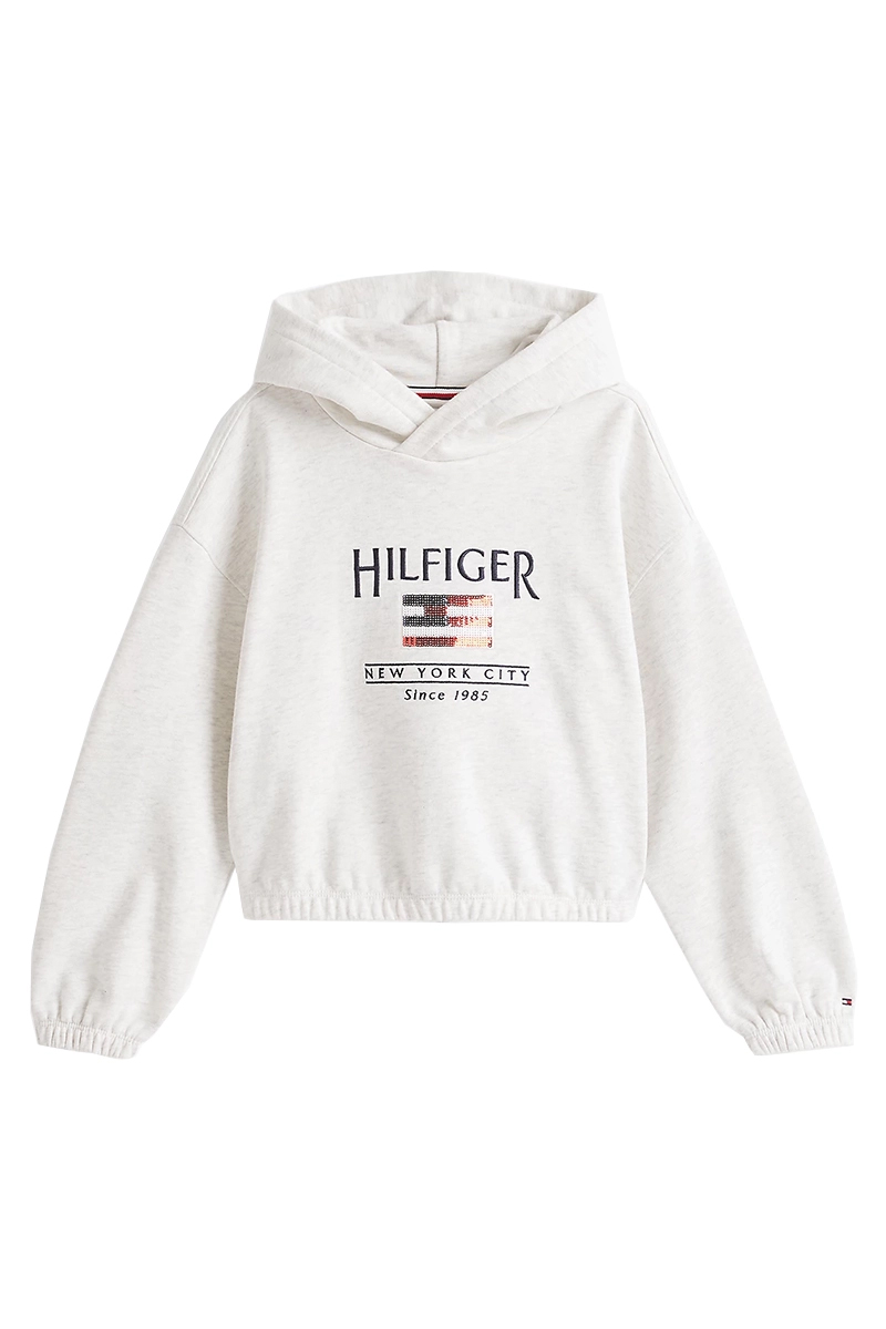 Tommy Hilfiger Hilfiger sequin flag hoodie Wit-1 1