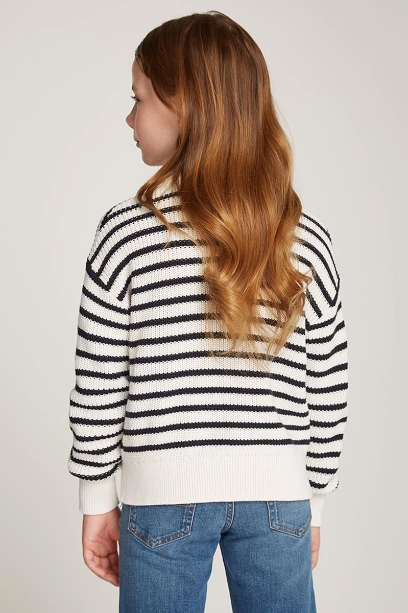 Tommy Hilfiger Essential stripe sweater Blauw-1 3