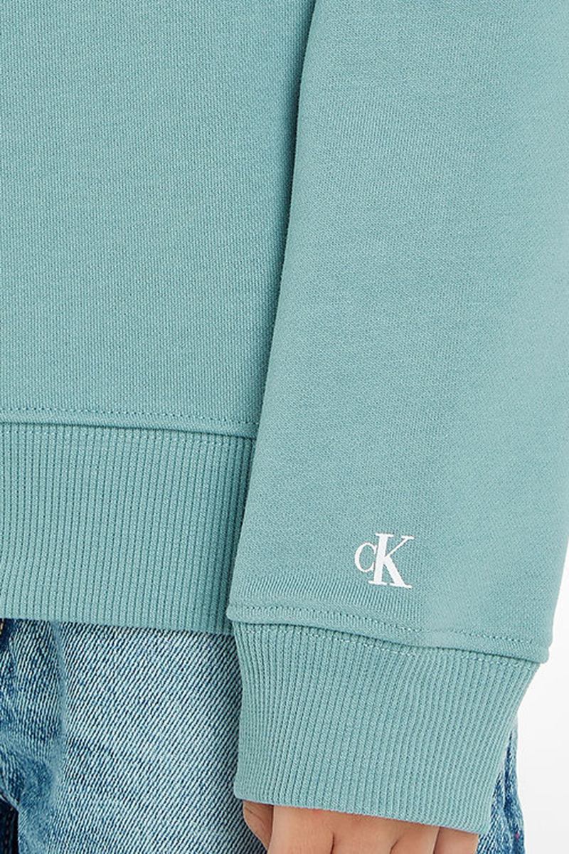 Calvin Klein Institutional logo hoodie Blauw-1 2