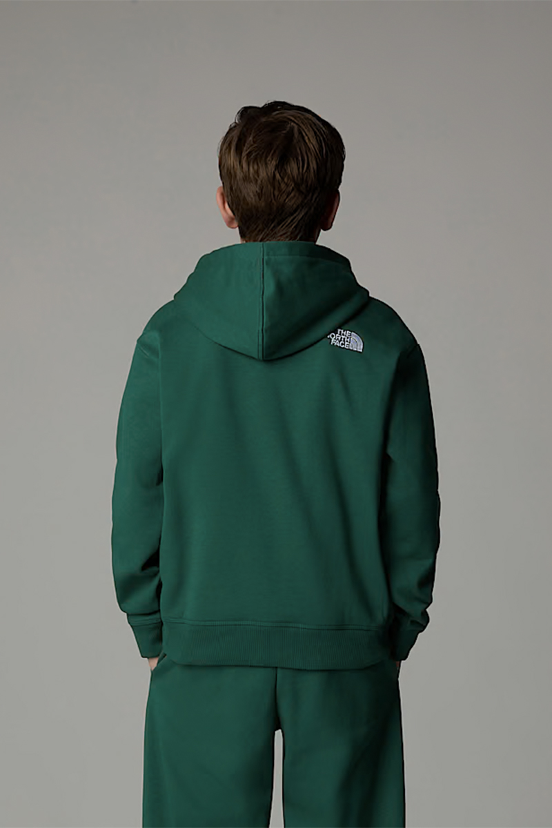 The North Face TEEN ESSENTIAL OVERSIZED HOODIE Groen-1 3