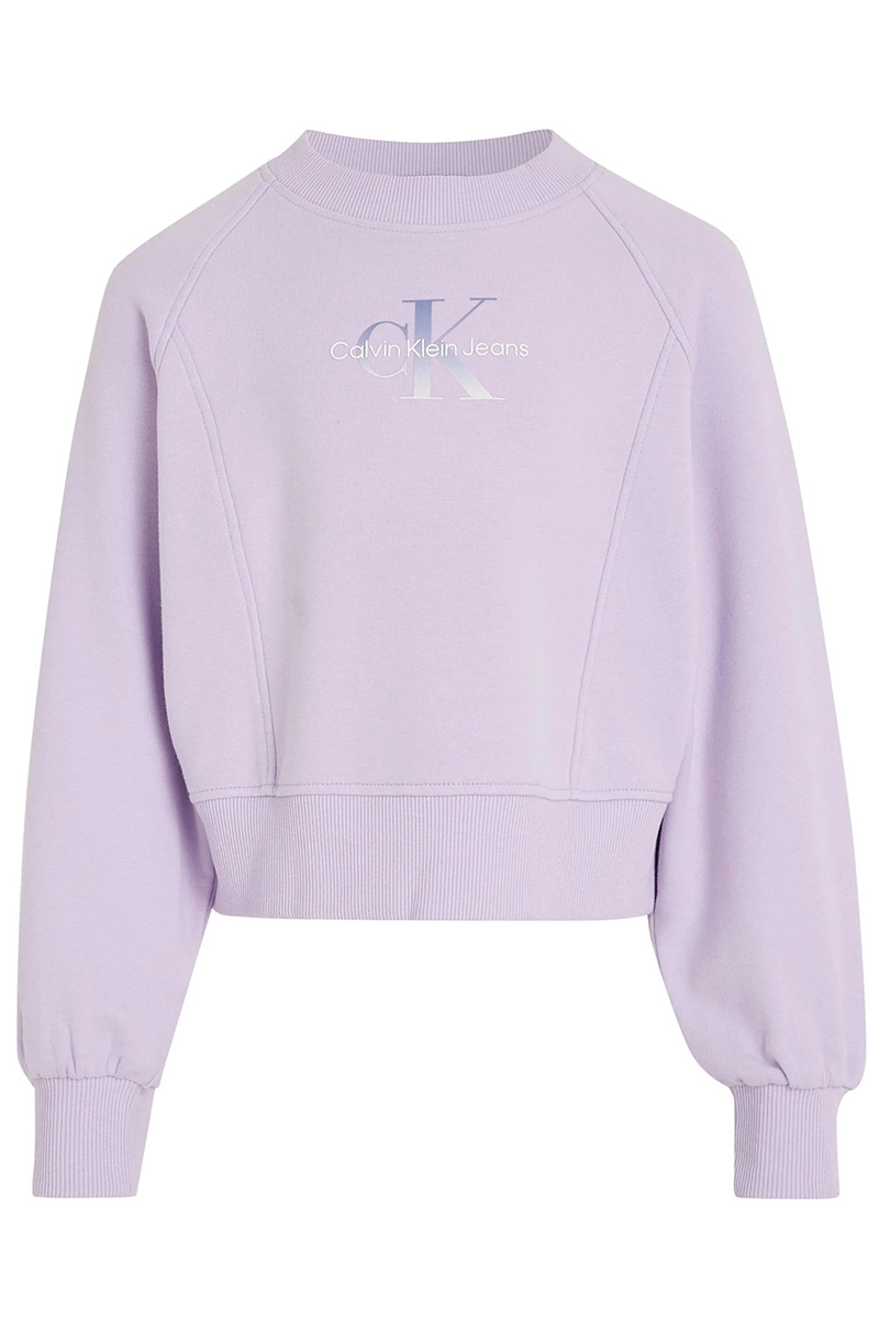 Calvin Klein Gradient monogram cn sweatshirt Paars-1 1