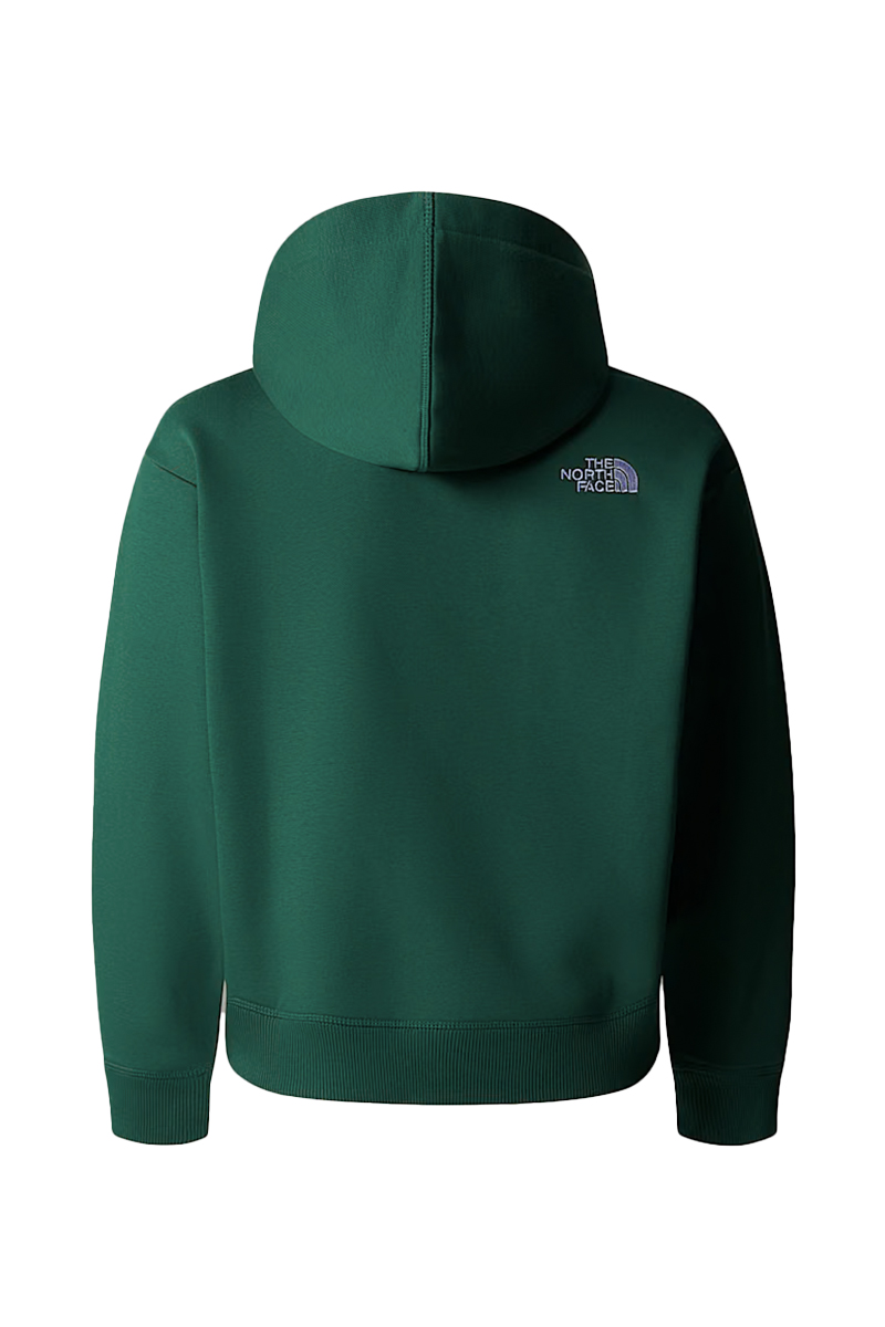 The North Face TEEN ESSENTIAL OVERSIZED HOODIE Groen-1 4