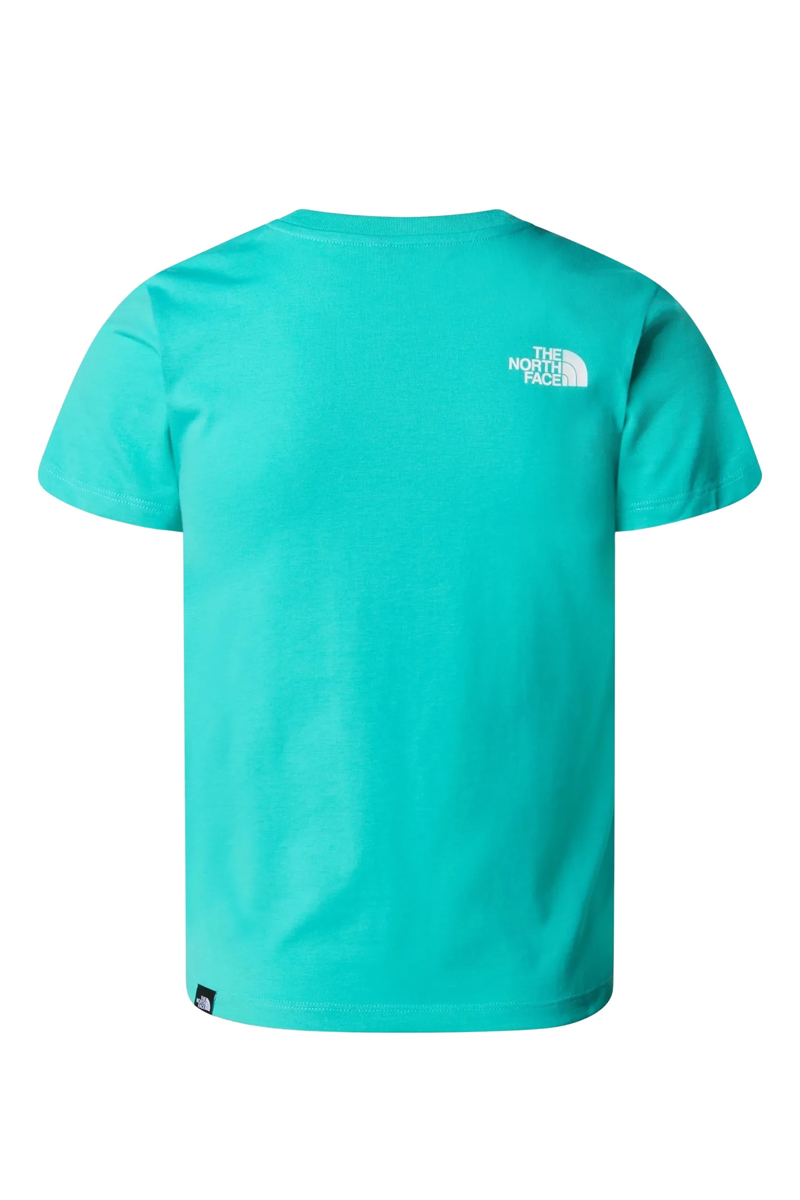 The North Face B S/S EASY TEE Groen-1 2