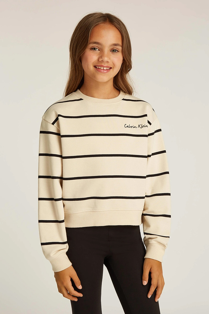 Calvin Klein Stripe boxy sweatshirt bruin/beige-1 2