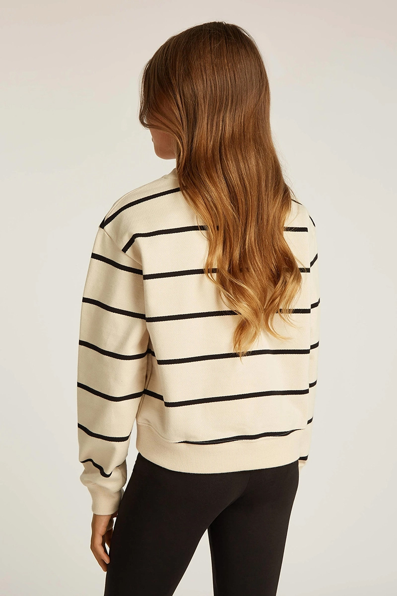 Calvin Klein Stripe boxy sweatshirt bruin/beige-1 3