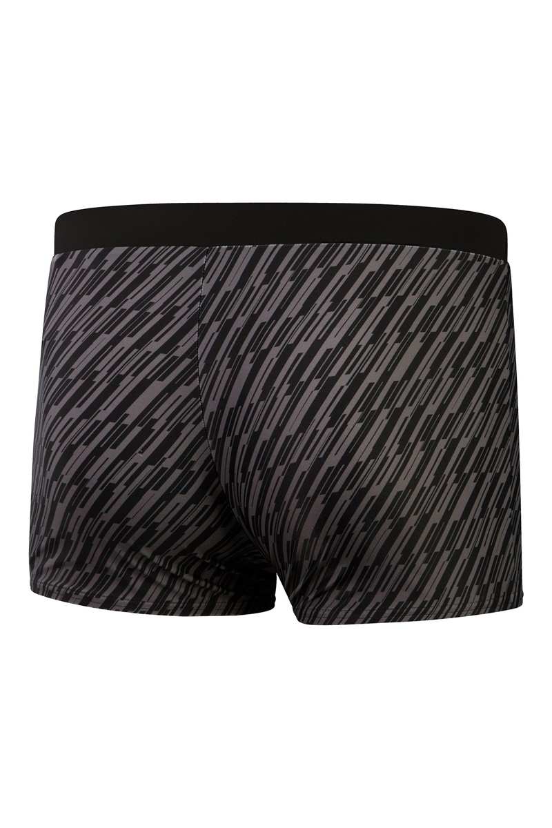 Speedo MENS ECO VAMILTON LINES AQUASHORT Grijs-1 2