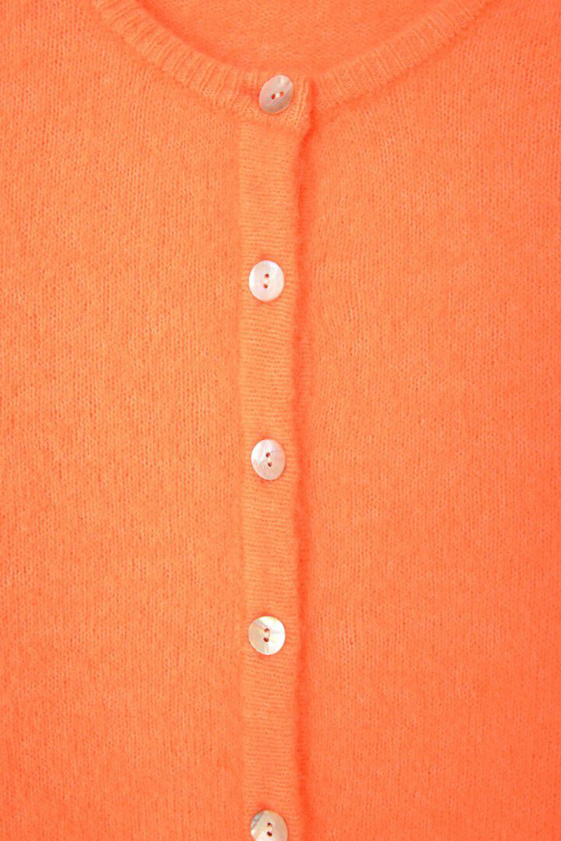 American Vintage 00319734-65 Oranje-1 2