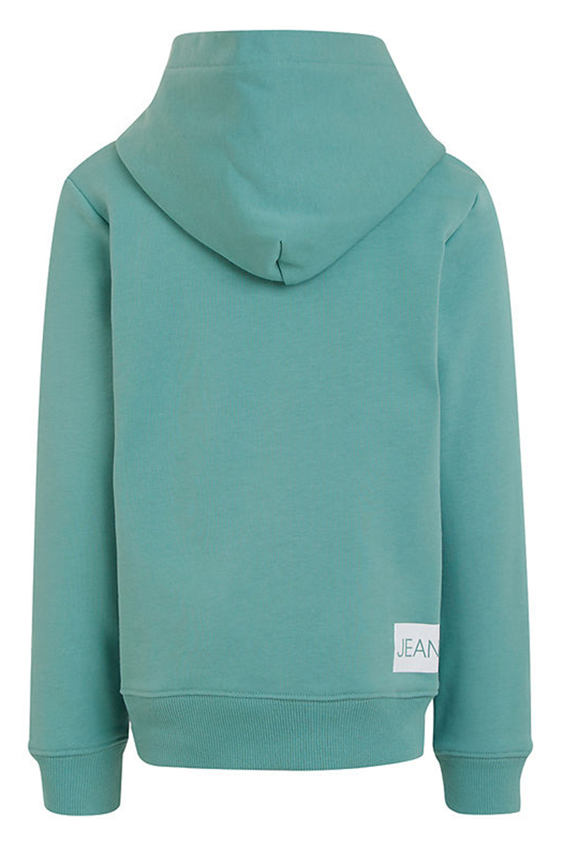 Calvin Klein Institutional logo hoodie Blauw-1 3